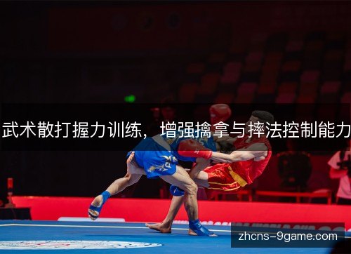 武术散打握力训练，增强擒拿与摔法控制能力